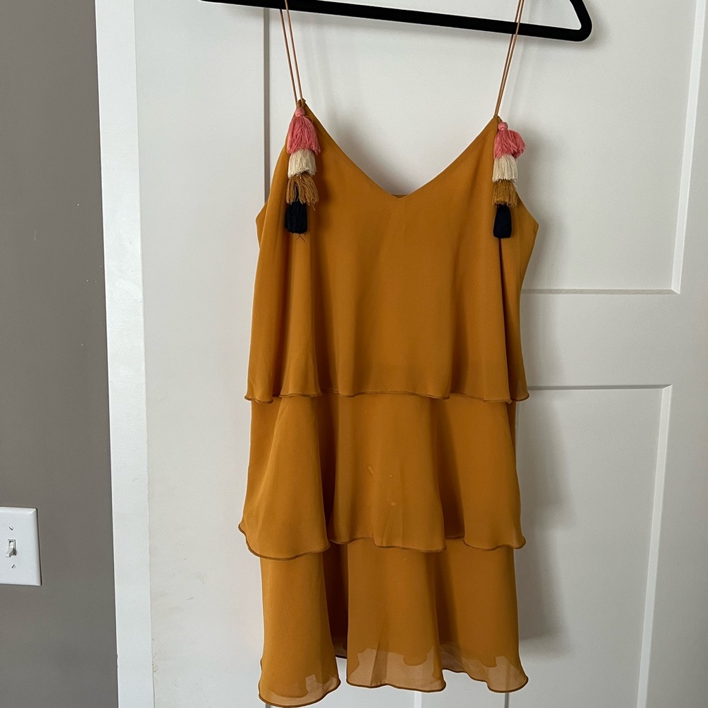 Show me your mumu ruffled swing dress